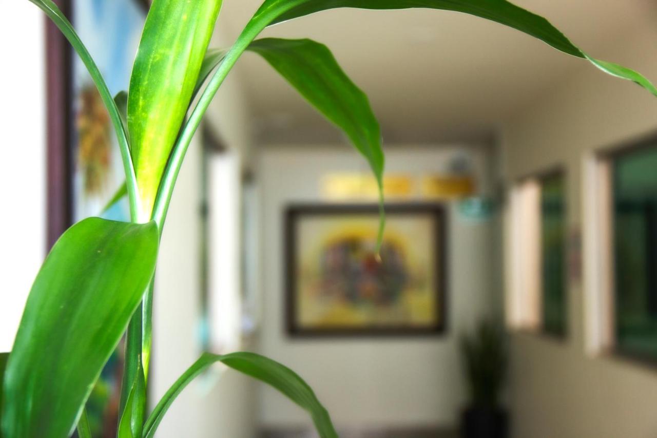 Hotel Plazuela San Ignacio Medellín Exteriér fotografie